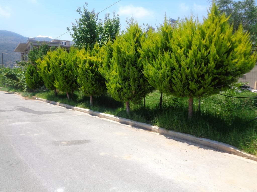 Creta Nostos Luxury Apartment Tsikalaria  Ngoại thất bức ảnh